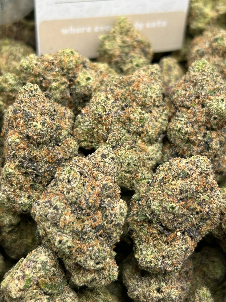 Puff's Indoor Flower - GMO Candy