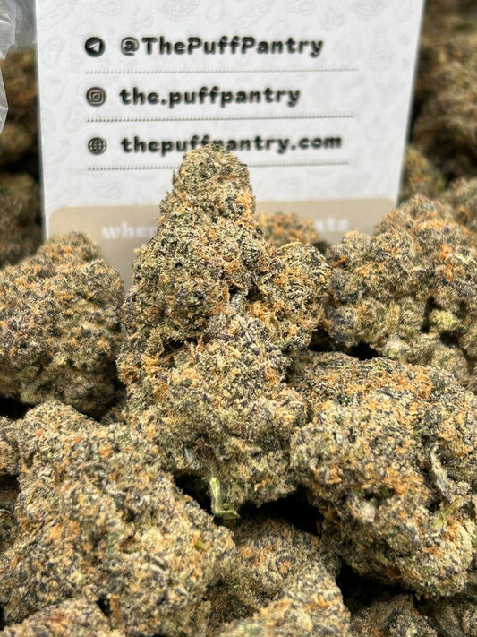 Puff's Indoor Flower - Gary Payton