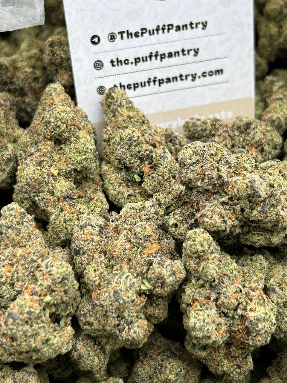 Puff's Indoor Flower - Girl Scout Cookies